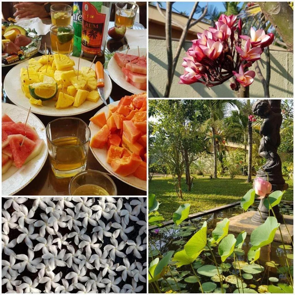 Solomon Beach Hotel Marawila Zewnętrze zdjęcie